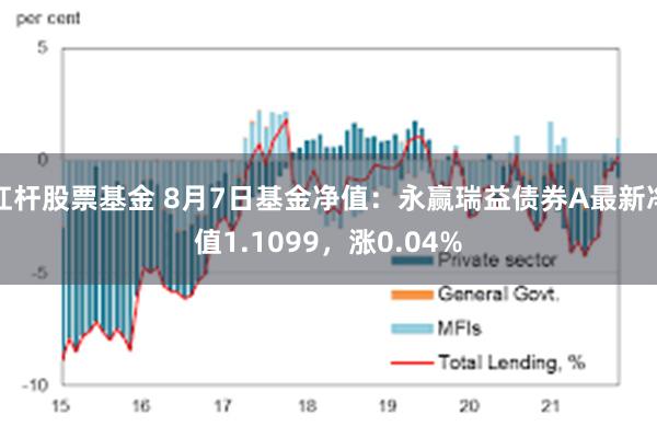 杠杆股票基金 8月7日基金净值：永赢瑞益债券A最新净值1.1099，涨0.04%