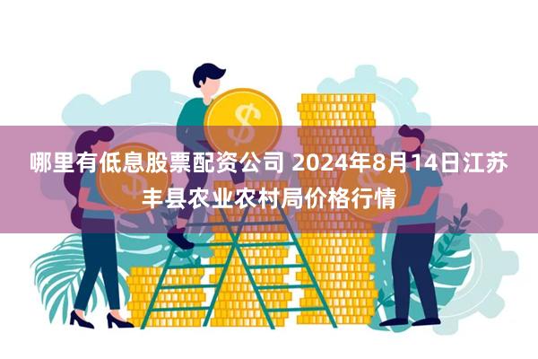 哪里有低息股票配资公司 2024年8月14日江苏丰县农业农村局价格行情