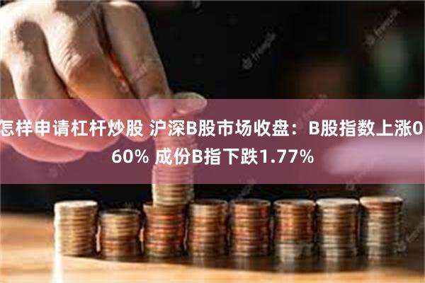 怎样申请杠杆炒股 沪深B股市场收盘：B股指数上涨0.60% 成份B指下跌1.77%