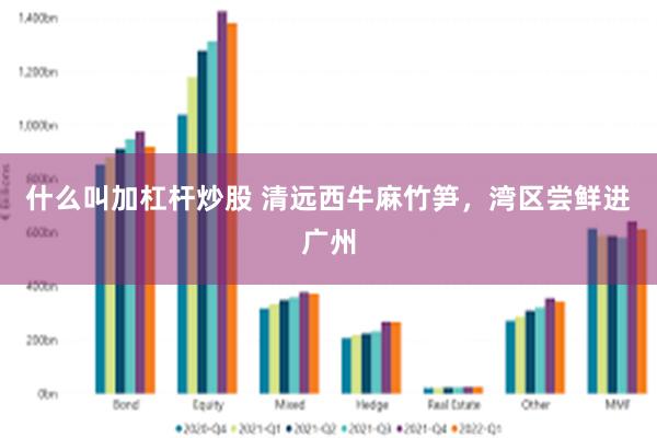 什么叫加杠杆炒股 清远西牛麻竹笋，湾区尝鲜进广州