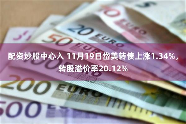 配资炒股中心入 11月19日岱美转债上涨1.34%，转股溢价率20.12%