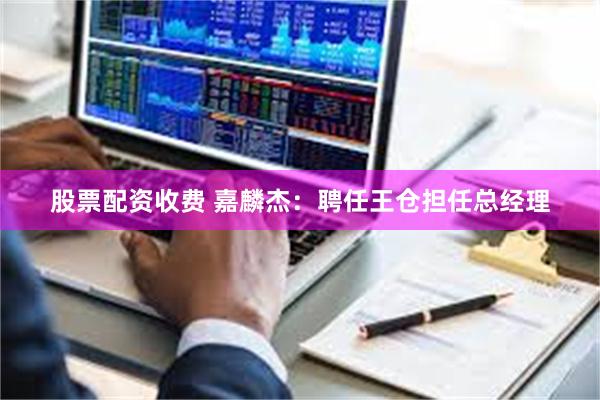 股票配资收费 嘉麟杰：聘任王仓担任总经理