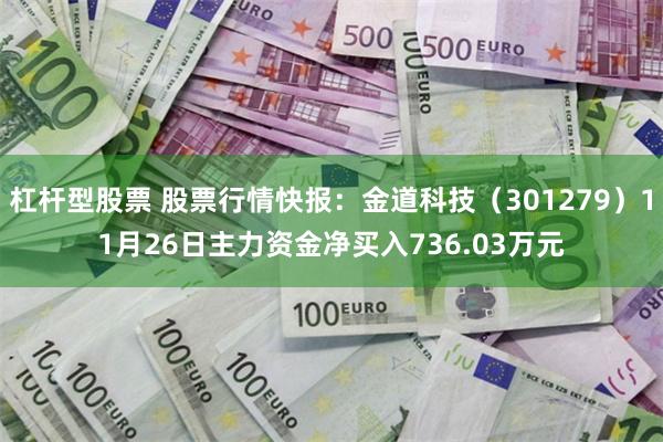 杠杆型股票 股票行情快报：金道科技（301279）11月26日主力资金净买入736.03万元