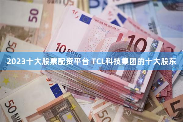 2023十大股票配资平台 TCL科技集团的十大股东