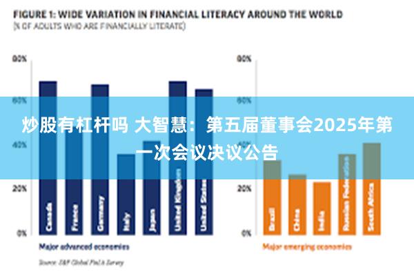 炒股有杠杆吗 大智慧：第五届董事会2025年第一次会议决议公告