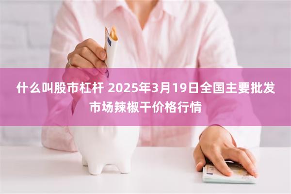 什么叫股市杠杆 2025年3月19日全国主要批发市场辣椒干价格行情