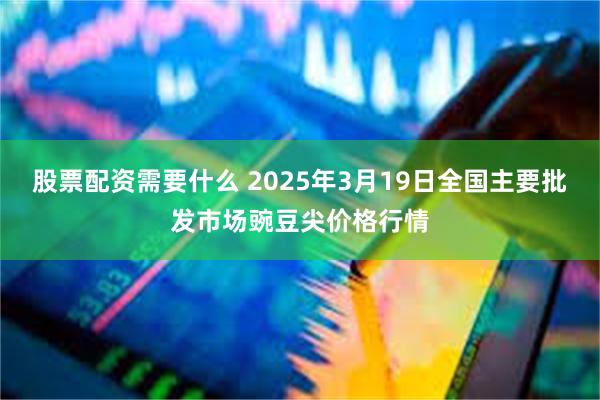 股票配资需要什么 2025年3月19日全国主要批发市场豌豆尖价格行情