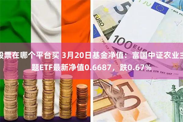 股票在哪个平台买 3月20日基金净值：富国中证农业主题ETF最新净值0.6687，跌0.67%